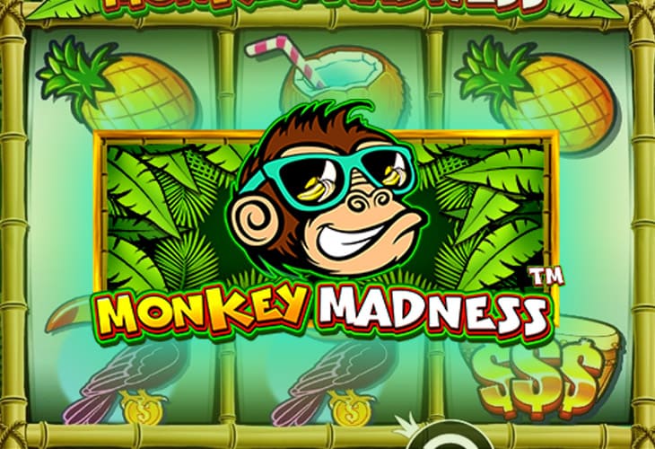Monkey Madness - Pragmatic Play slot at Gioco Digitale Casino Casino